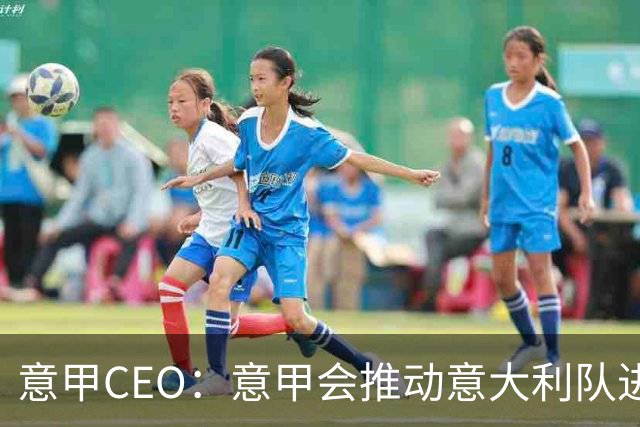 意甲CEO：意甲会推动意大利队进步 国家队低迷原因得追溯到20年前